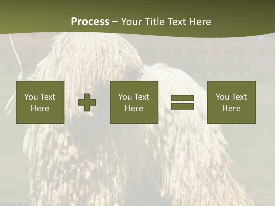 Charming Full Length Curly PowerPoint Template