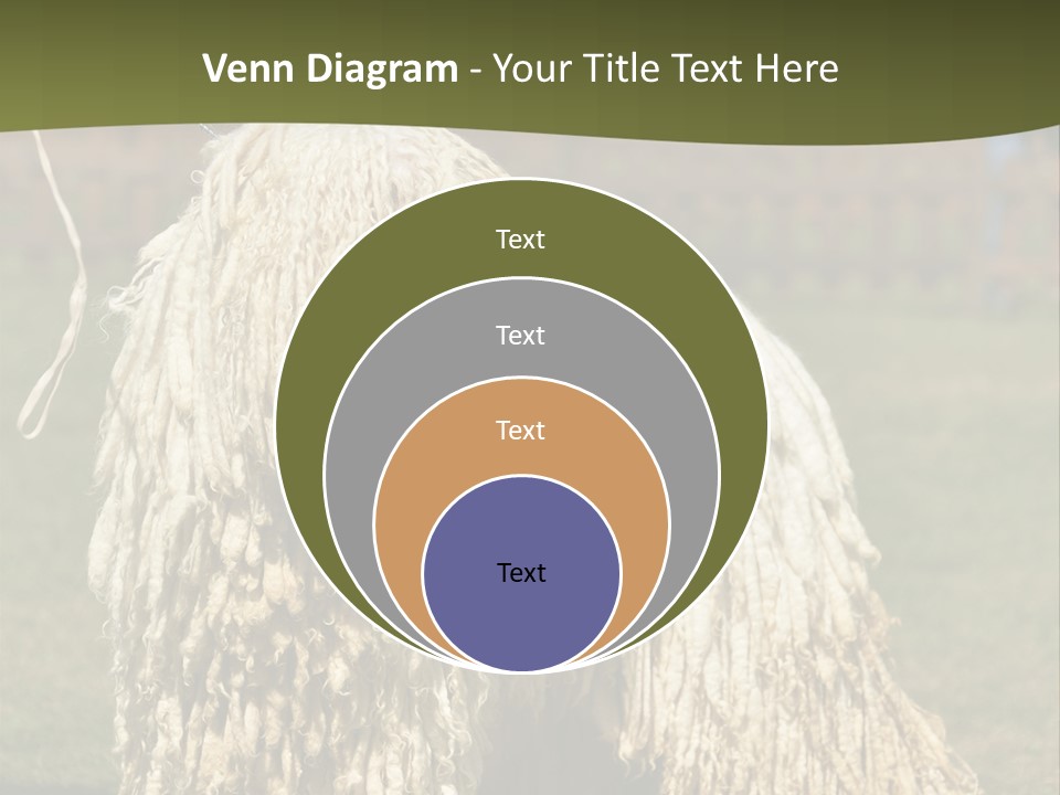 Charming Full Length Curly PowerPoint Template