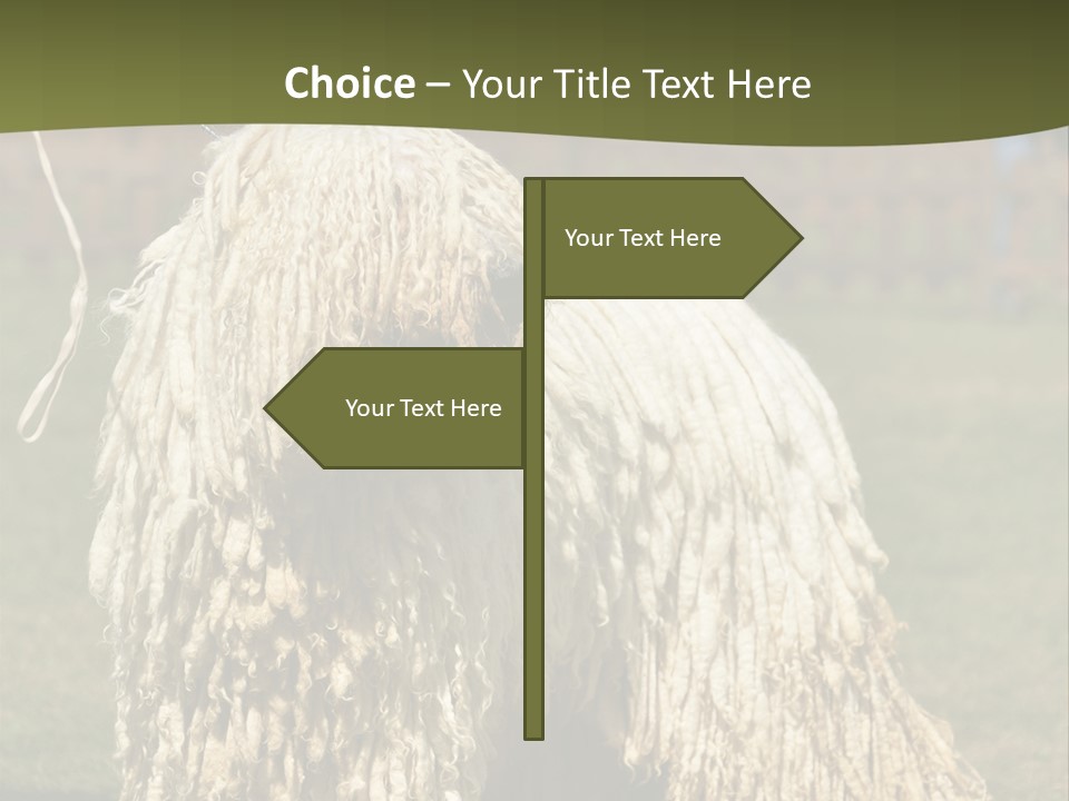 Charming Full Length Curly PowerPoint Template