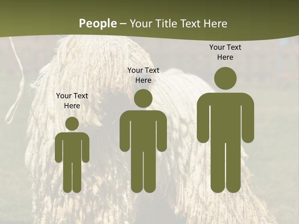 Charming Full Length Curly PowerPoint Template