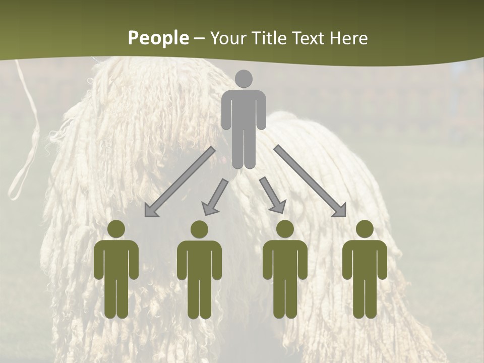 Charming Full Length Curly PowerPoint Template