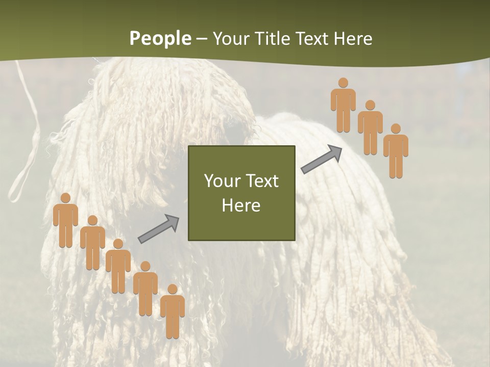 Charming Full Length Curly PowerPoint Template