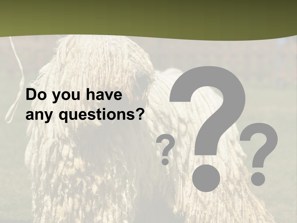 Charming Full Length Curly PowerPoint Template