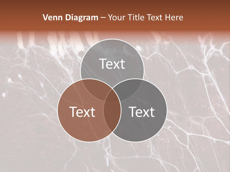 Medical Electron Microscopic PowerPoint Template