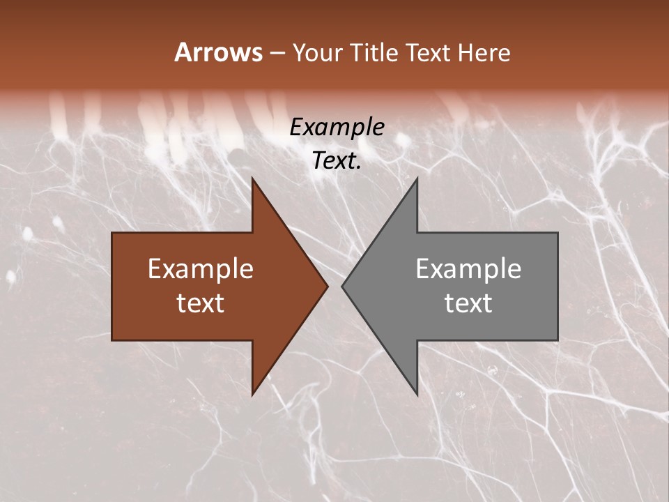 Medical Electron Microscopic PowerPoint Template