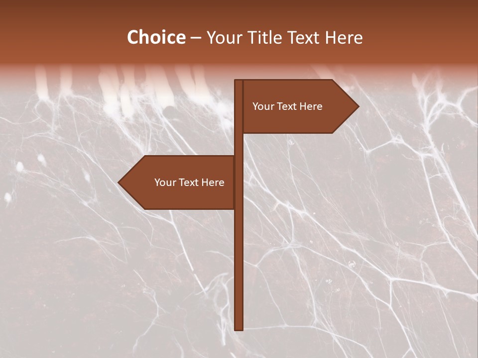 Medical Electron Microscopic PowerPoint Template