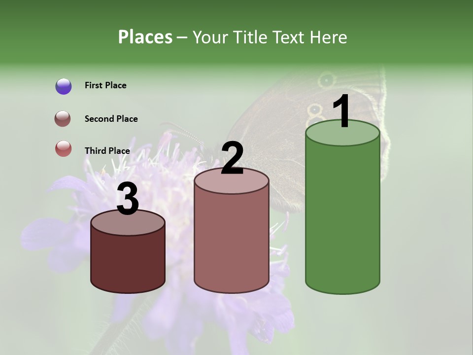 Woodland Petal Blossom PowerPoint Template