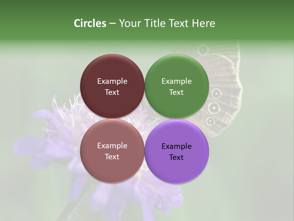 Woodland Petal Blossom PowerPoint Template