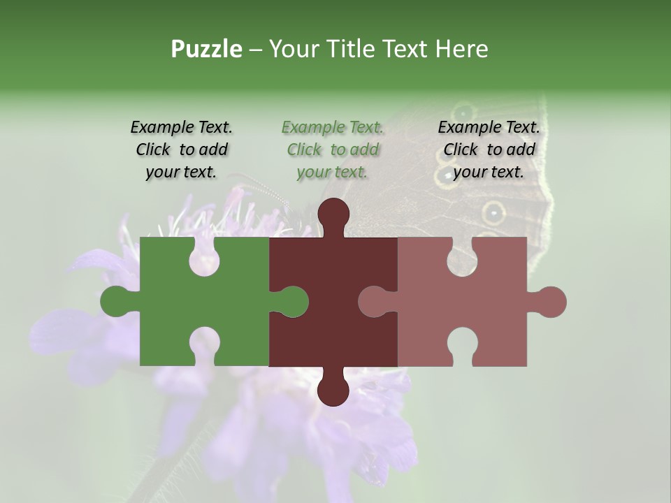 Woodland Petal Blossom PowerPoint Template