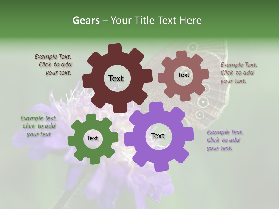 Woodland Petal Blossom PowerPoint Template