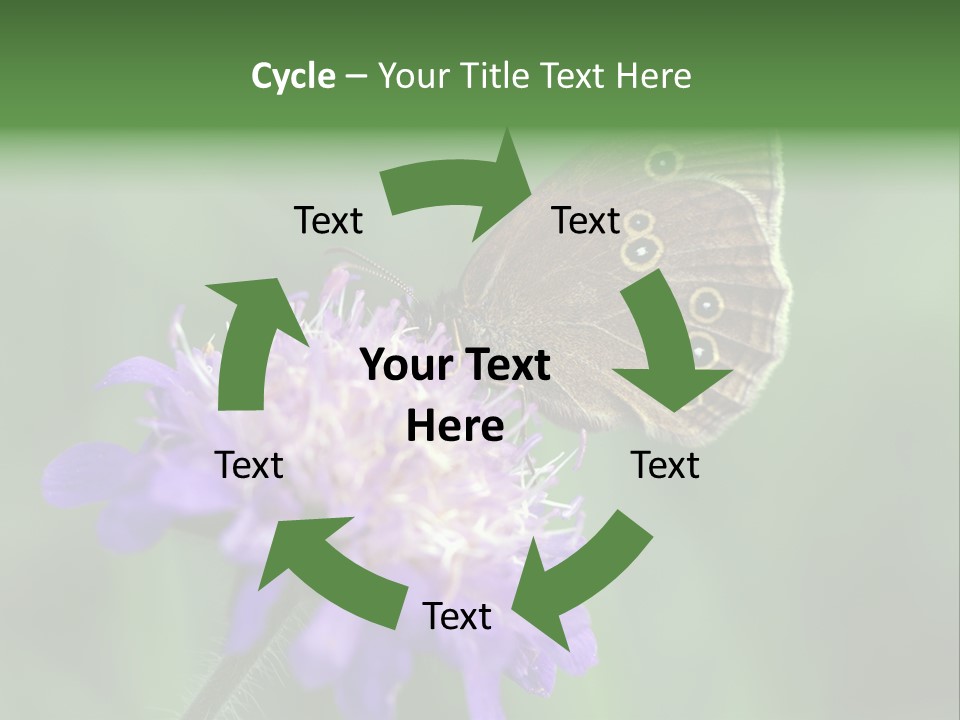 Woodland Petal Blossom PowerPoint Template