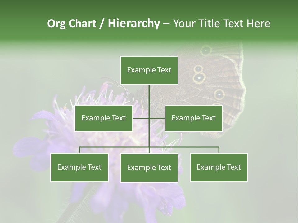 Woodland Petal Blossom PowerPoint Template