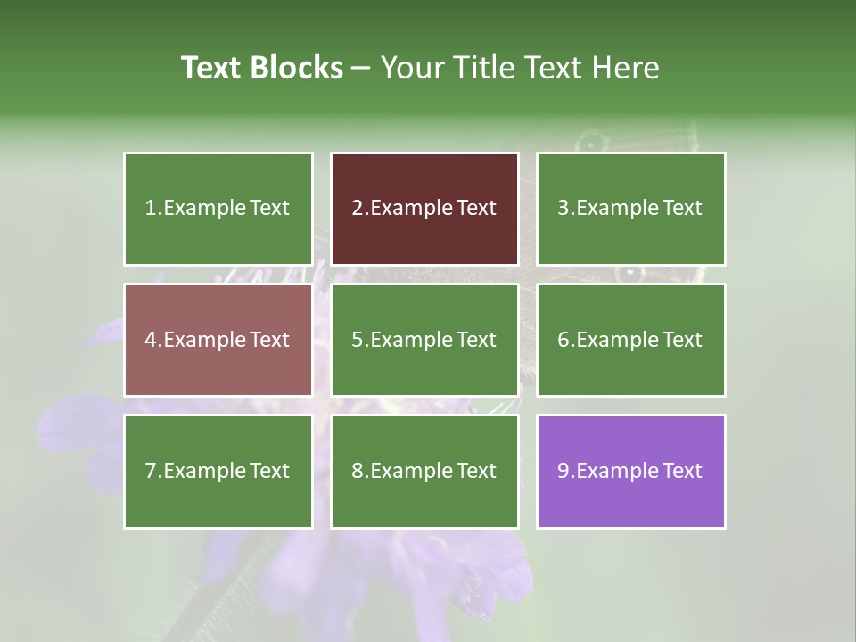 Woodland Petal Blossom PowerPoint Template