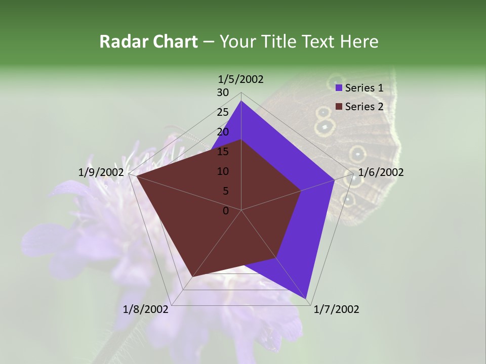 Woodland Petal Blossom PowerPoint Template