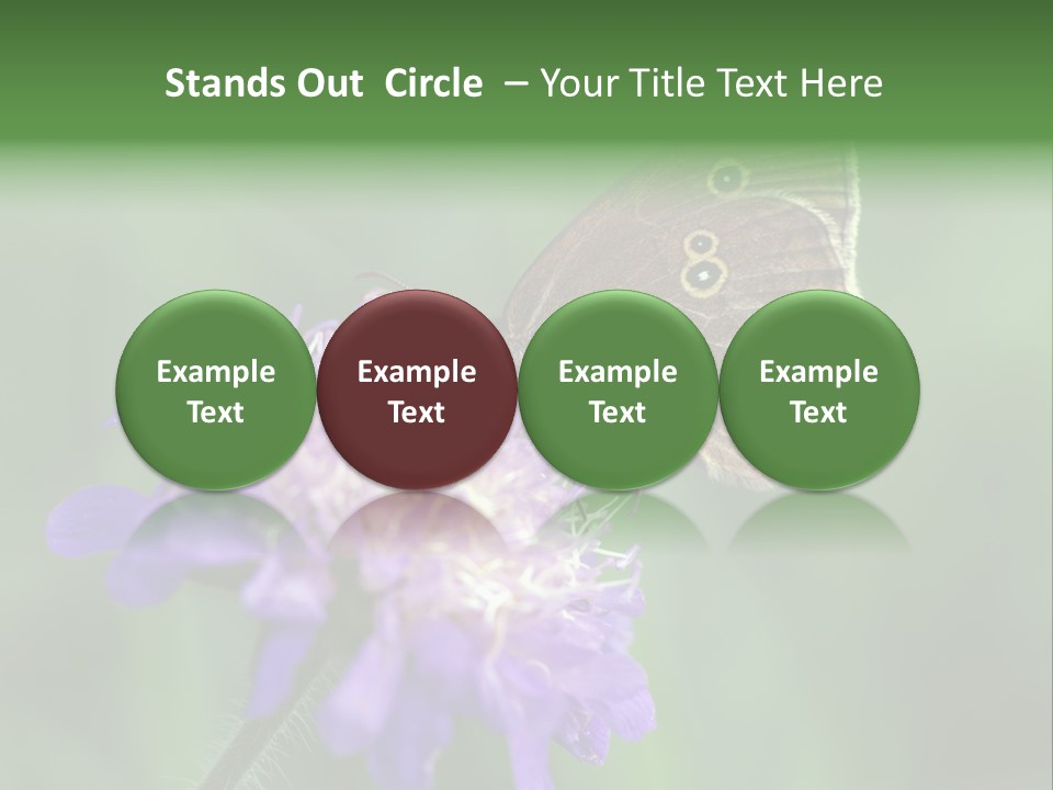 Woodland Petal Blossom PowerPoint Template