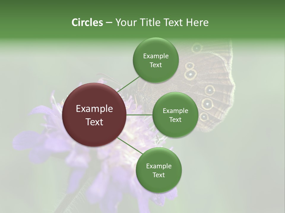 Woodland Petal Blossom PowerPoint Template