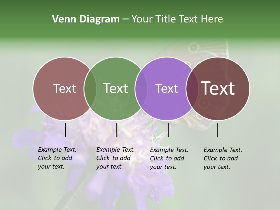 Woodland Petal Blossom PowerPoint Template