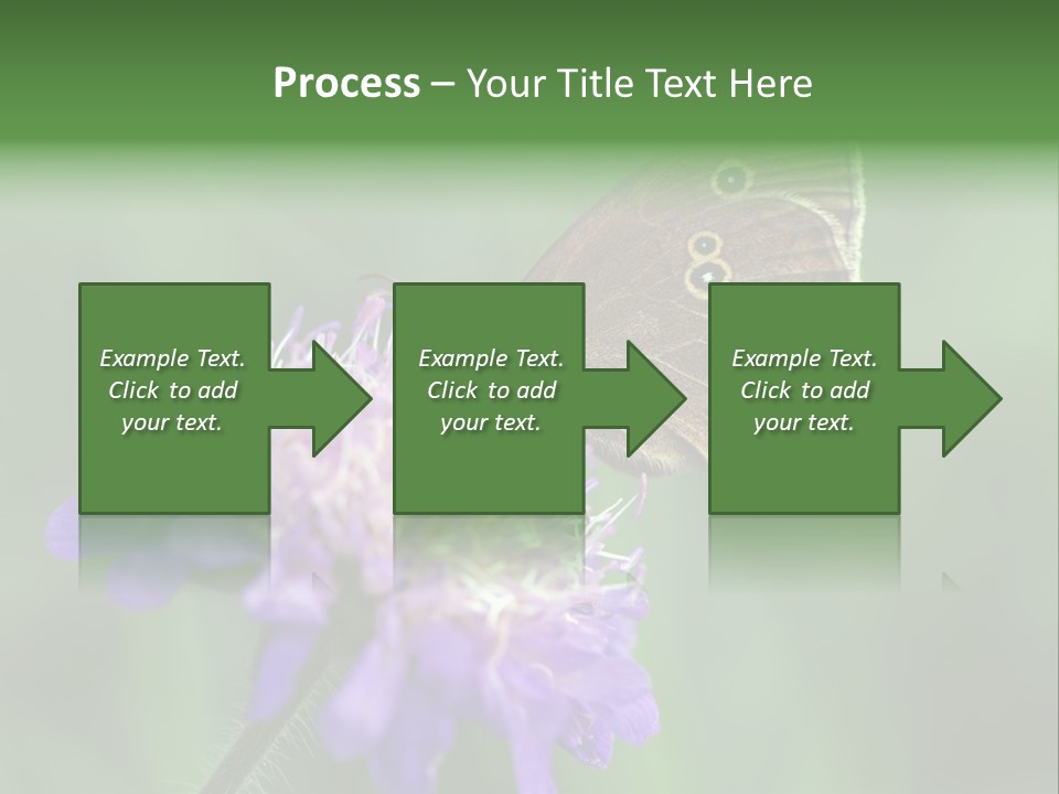 Woodland Petal Blossom PowerPoint Template