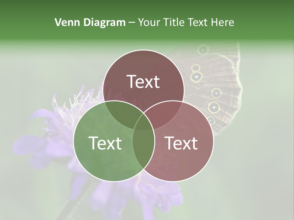 Woodland Petal Blossom PowerPoint Template