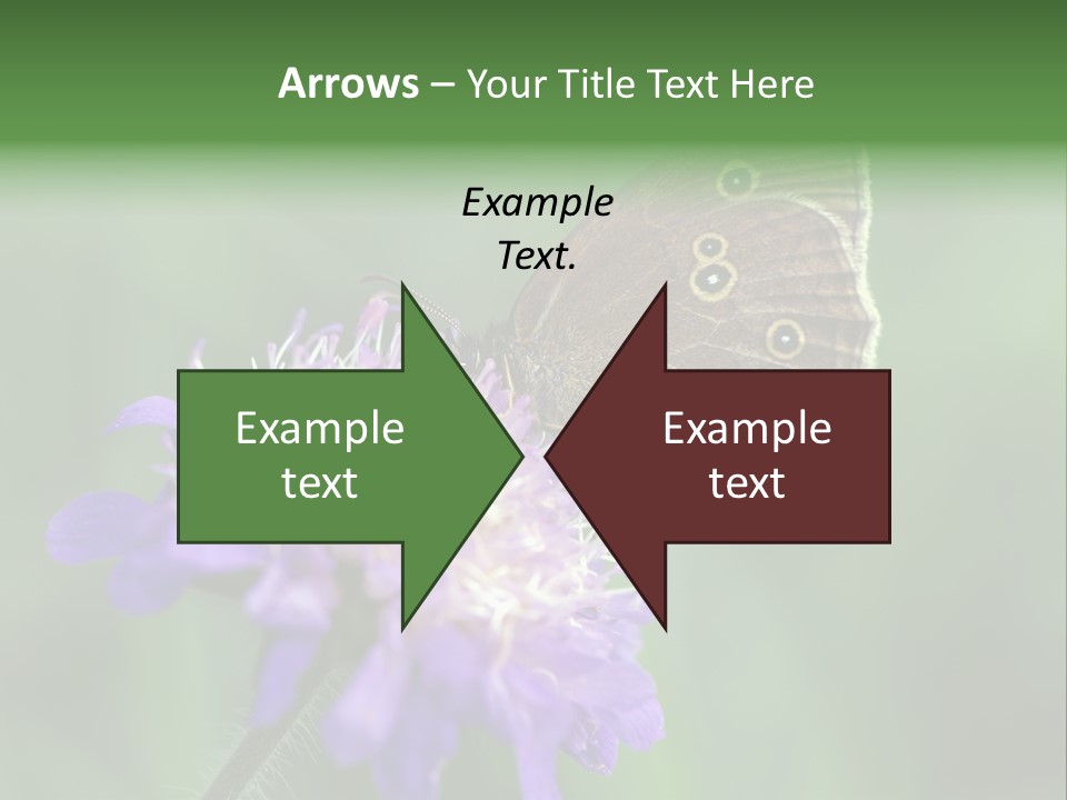 Woodland Petal Blossom PowerPoint Template