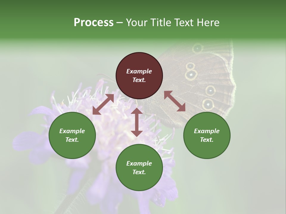 Woodland Petal Blossom PowerPoint Template