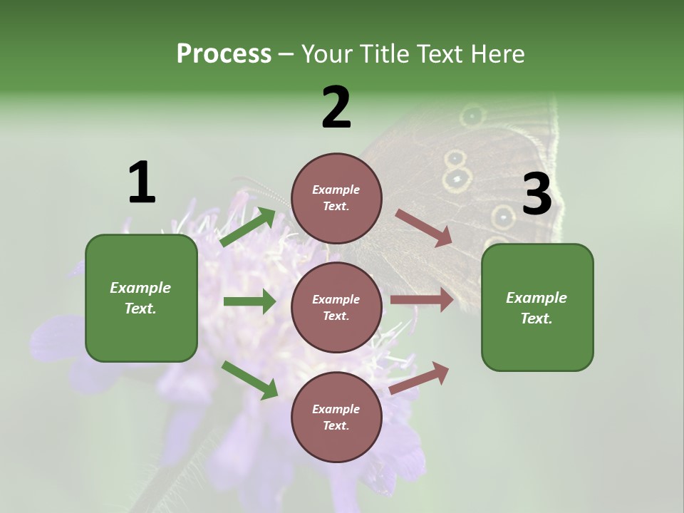 Woodland Petal Blossom PowerPoint Template