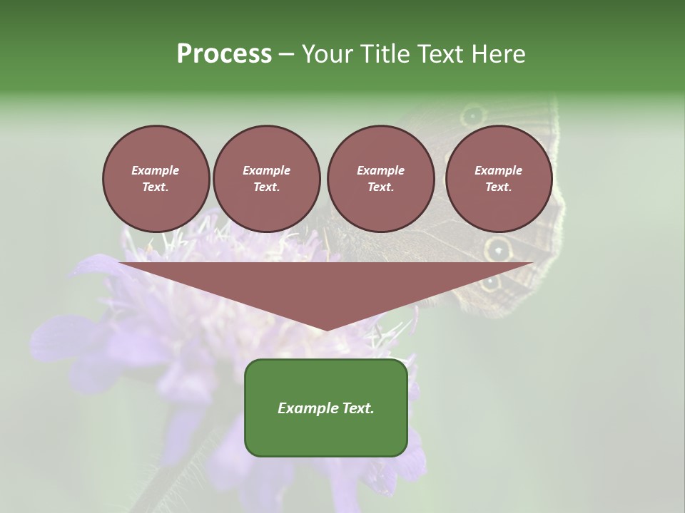 Woodland Petal Blossom PowerPoint Template