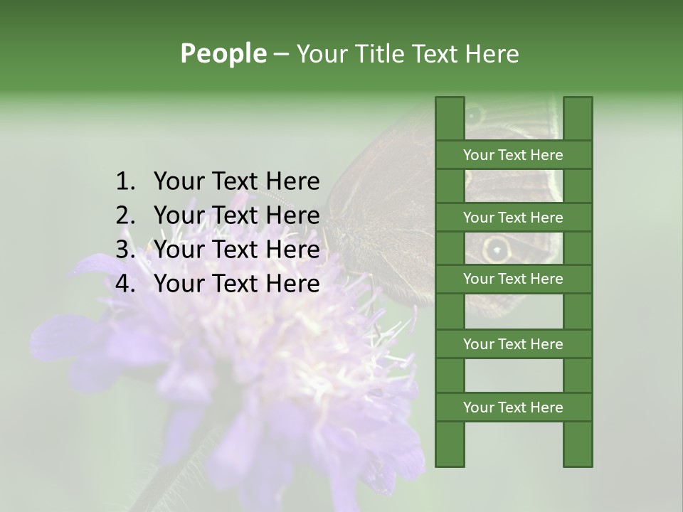 Woodland Petal Blossom PowerPoint Template
