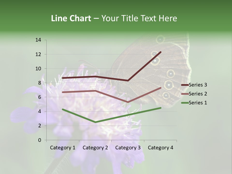 Woodland Petal Blossom PowerPoint Template