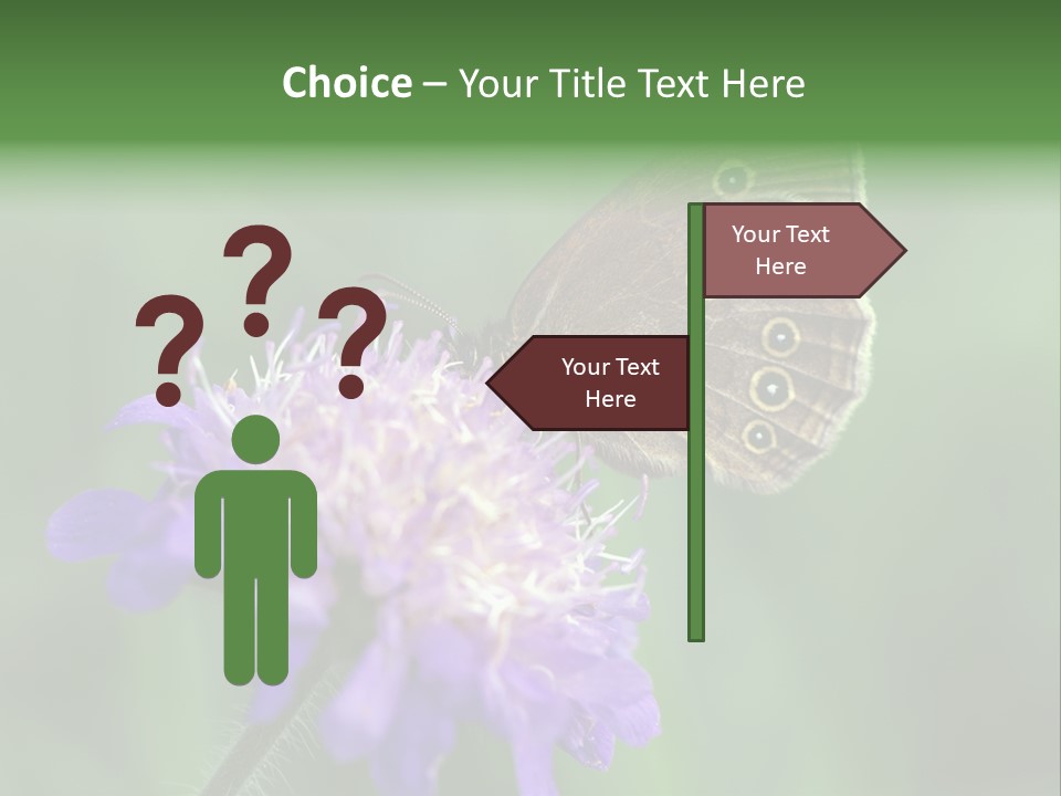 Woodland Petal Blossom PowerPoint Template