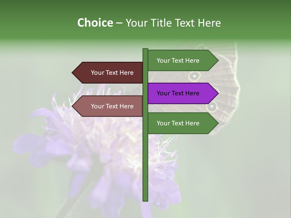 Woodland Petal Blossom PowerPoint Template