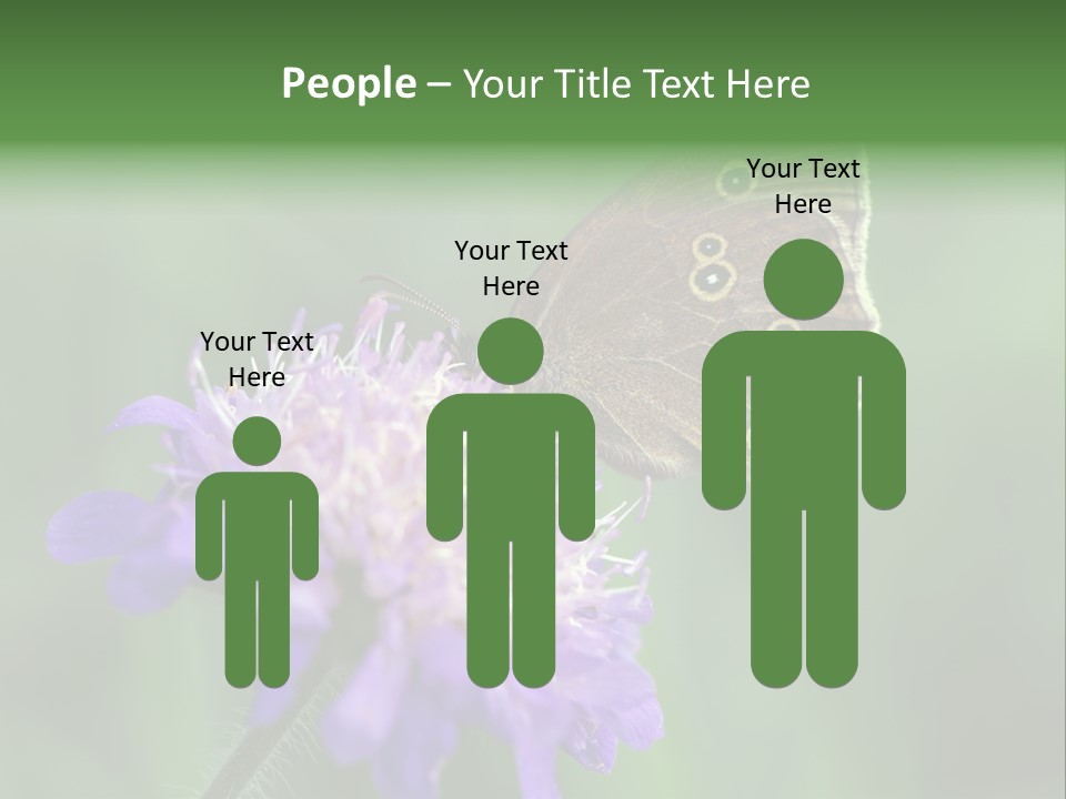 Woodland Petal Blossom PowerPoint Template