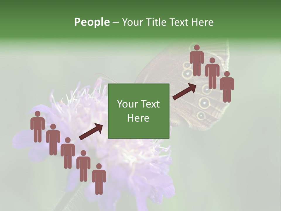 Woodland Petal Blossom PowerPoint Template