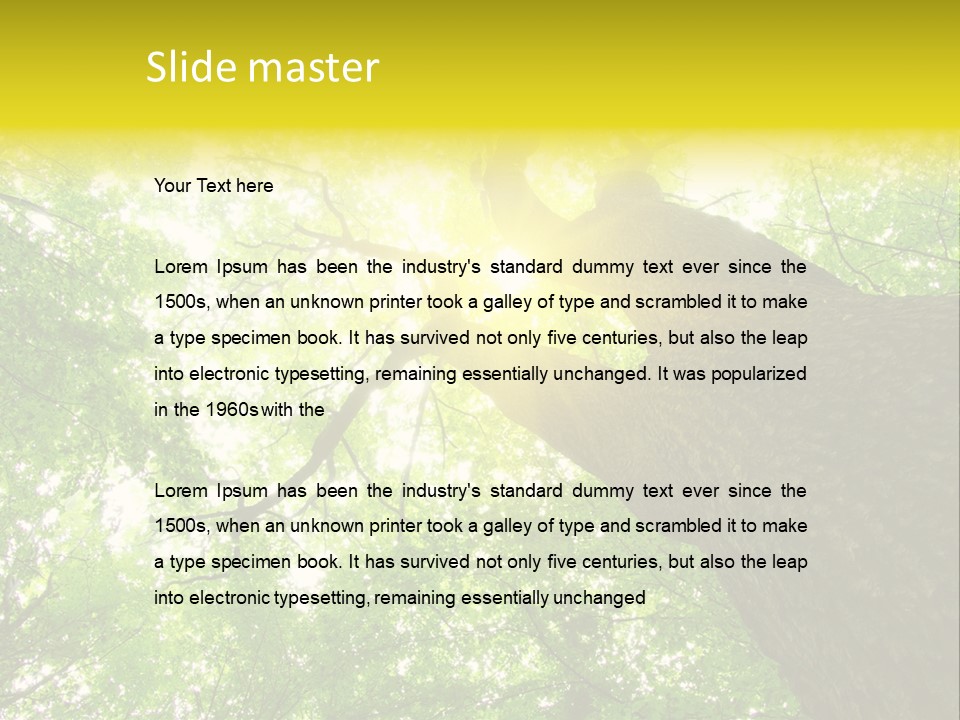 Divine Fog Magnificence PowerPoint Template