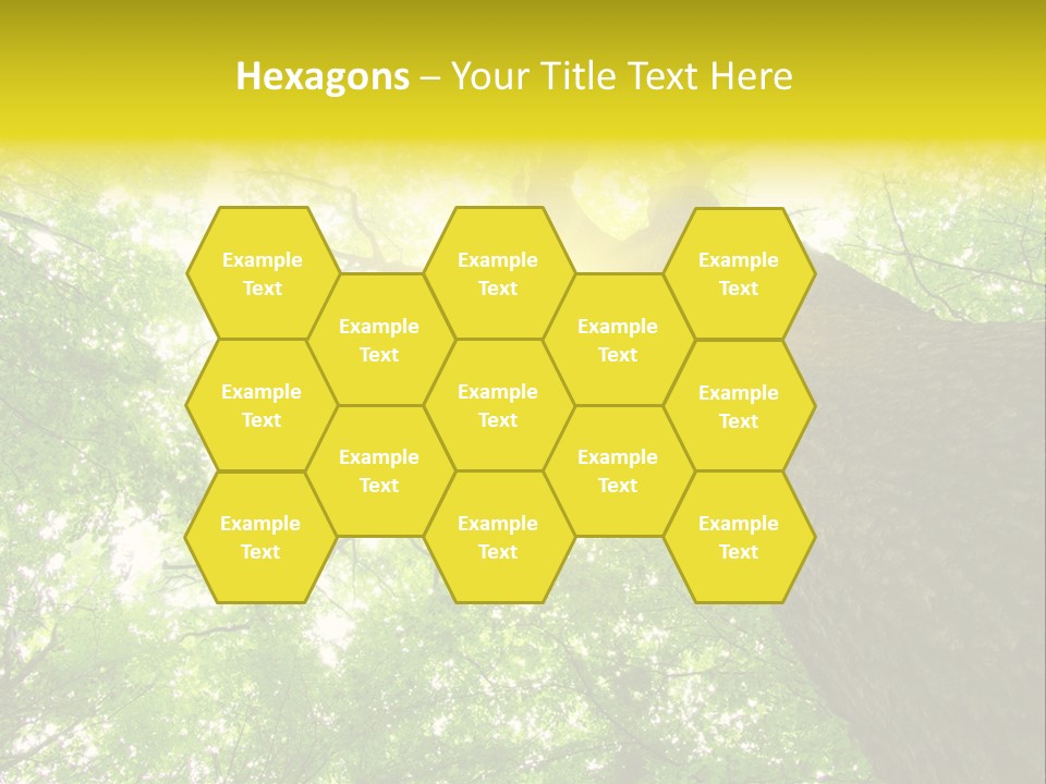 Divine Fog Magnificence PowerPoint Template