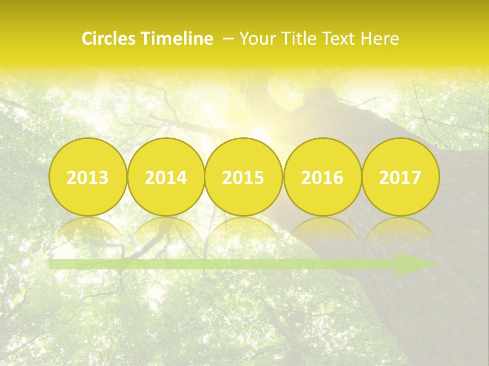 Divine Fog Magnificence PowerPoint Template