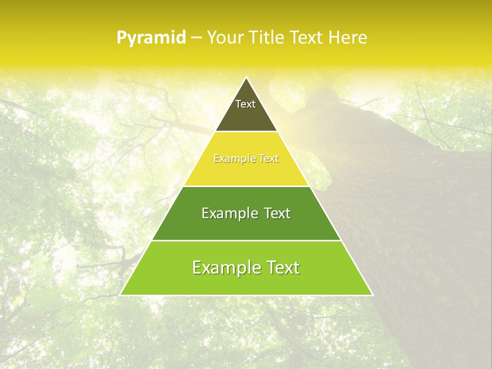 Divine Fog Magnificence PowerPoint Template