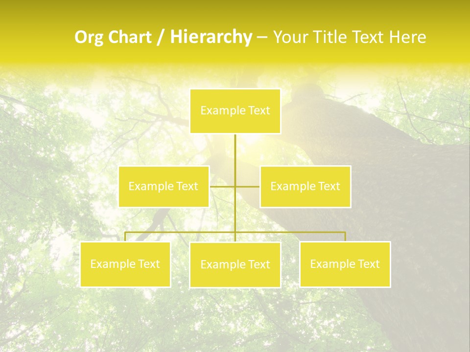 Divine Fog Magnificence PowerPoint Template