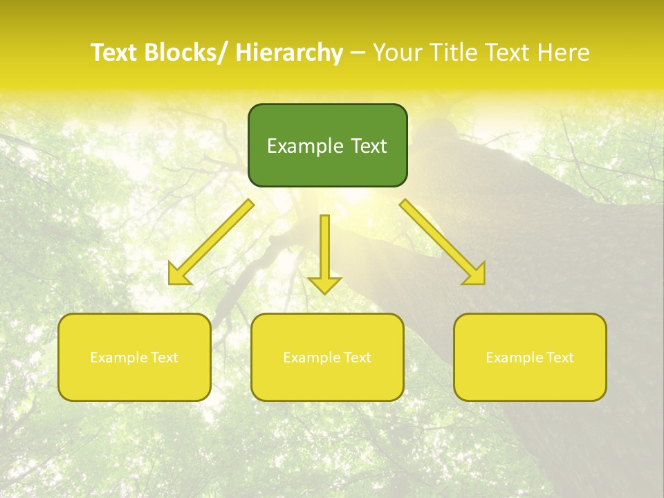 Divine Fog Magnificence PowerPoint Template