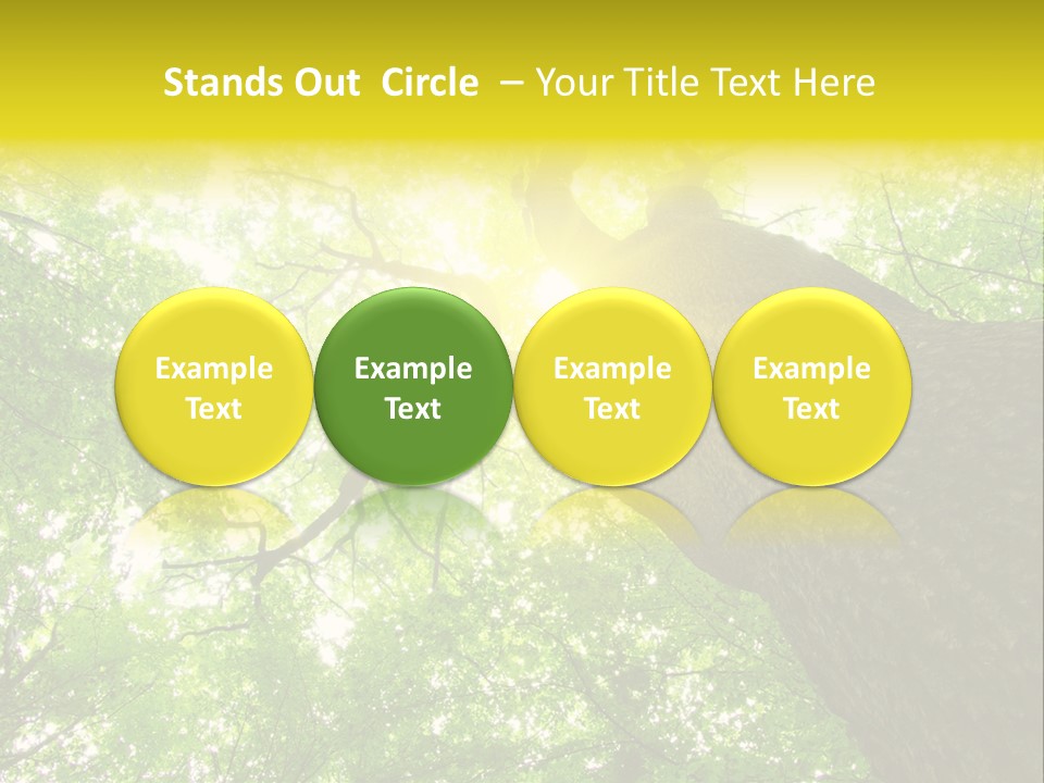 Divine Fog Magnificence PowerPoint Template