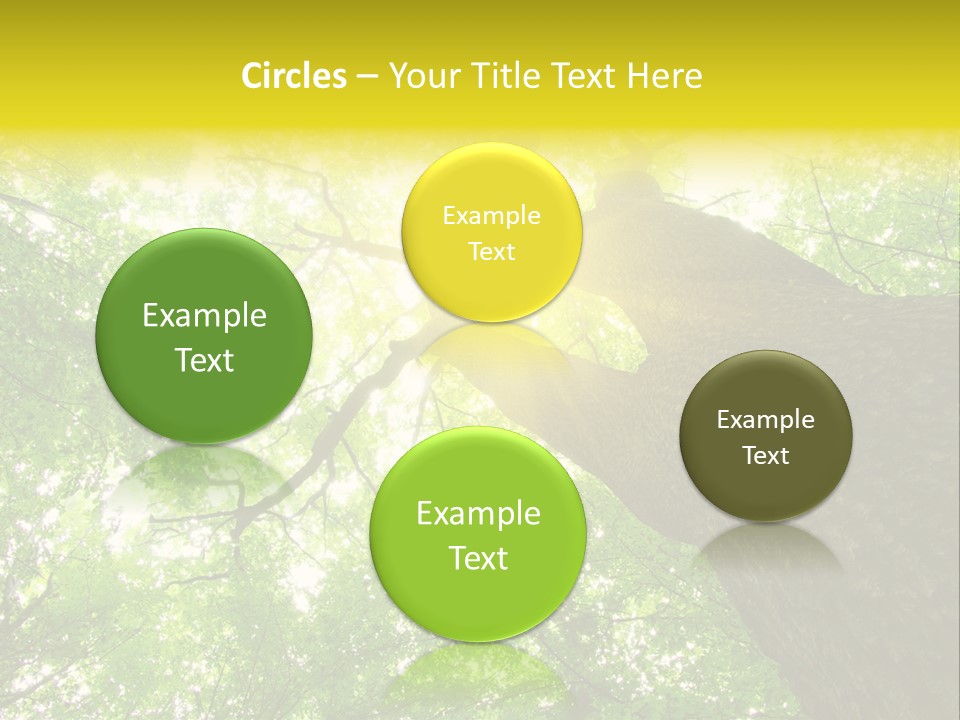 Divine Fog Magnificence PowerPoint Template