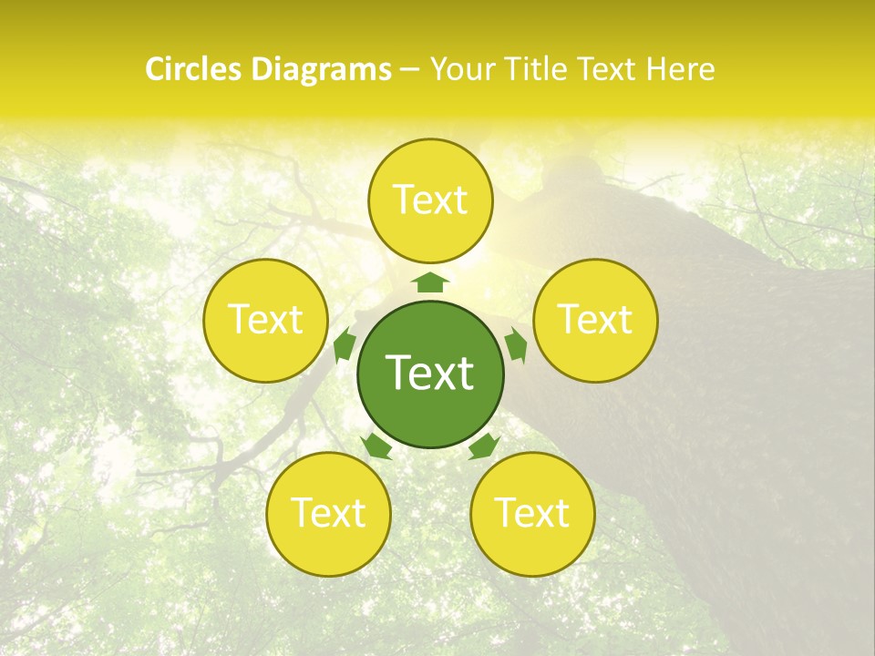 Divine Fog Magnificence PowerPoint Template