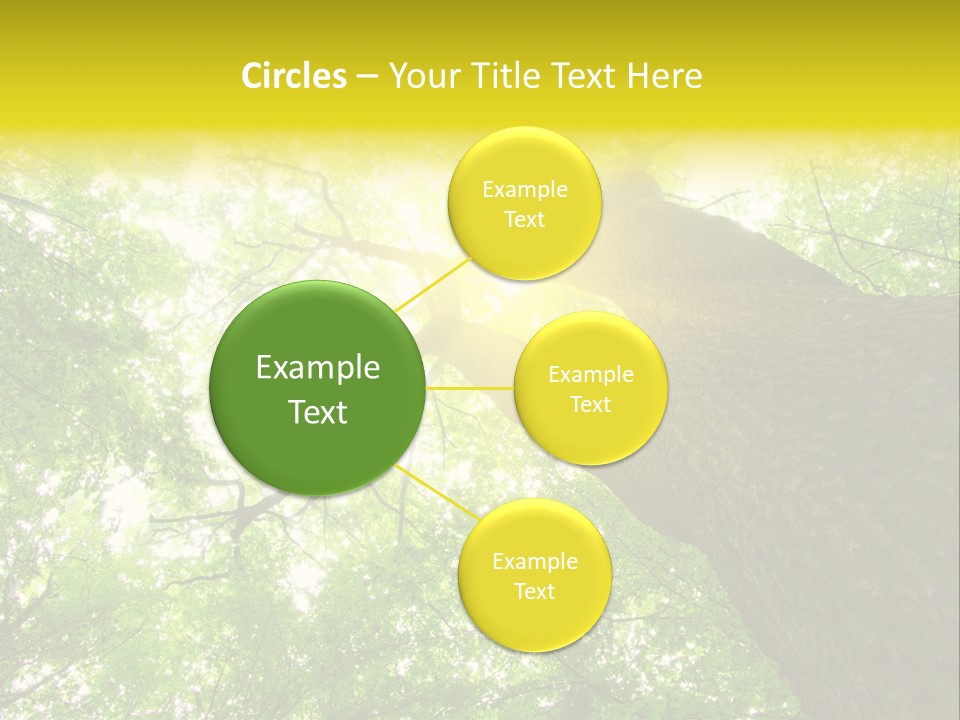 Divine Fog Magnificence PowerPoint Template