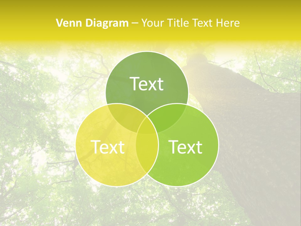 Divine Fog Magnificence PowerPoint Template