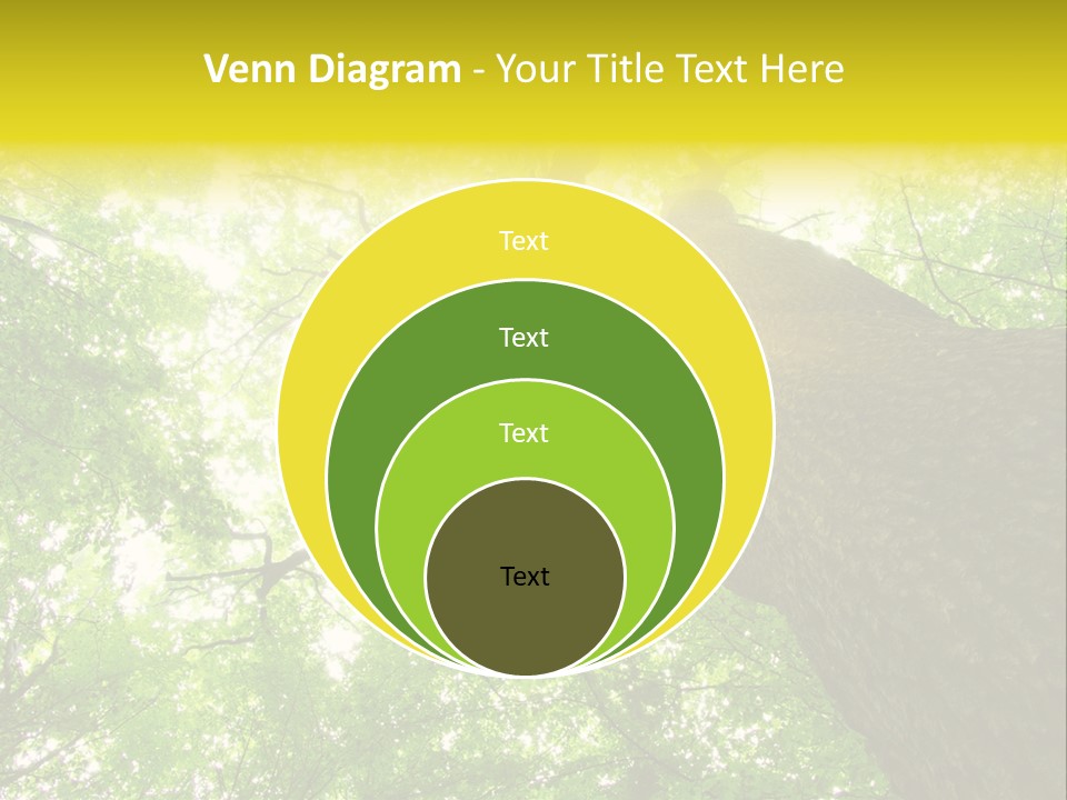 Divine Fog Magnificence PowerPoint Template
