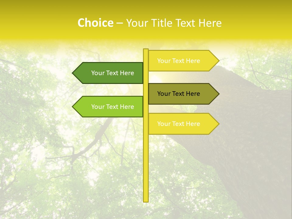 Divine Fog Magnificence PowerPoint Template