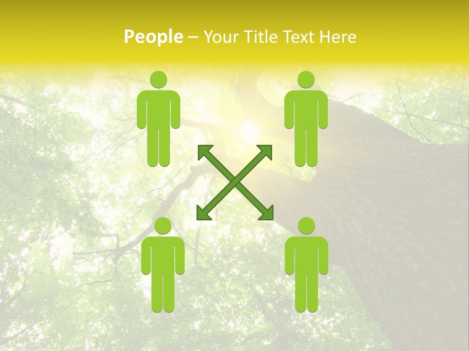 Divine Fog Magnificence PowerPoint Template