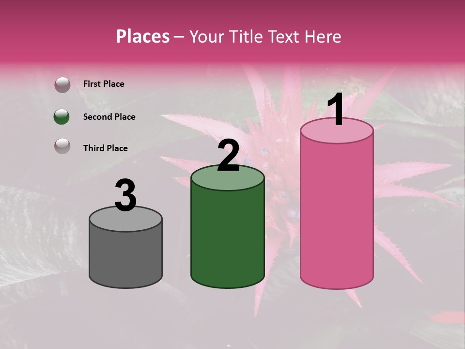 Pink Garden Plant PowerPoint Template
