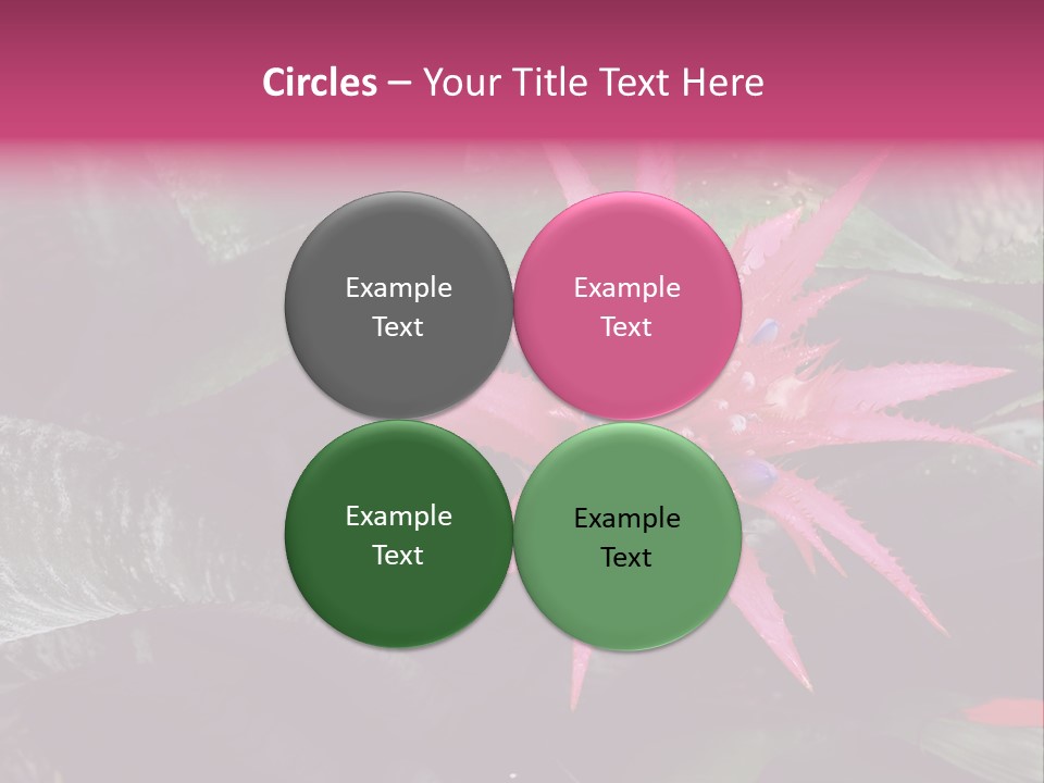 Pink Garden Plant PowerPoint Template