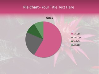 Pink Garden Plant PowerPoint Template